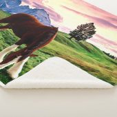 Clydesdaleの日没 シェルパブランケット (3/4)