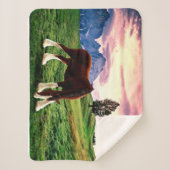 Clydesdaleの日没 シェルパブランケット (正面)