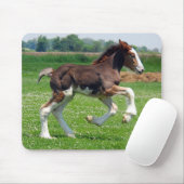 Clydesdaleの雌の子馬のmousepad マウスパッド (マウス)