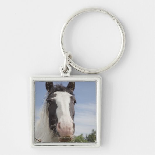 Clydesdaleの馬のポートレート キーホルダー (正面)