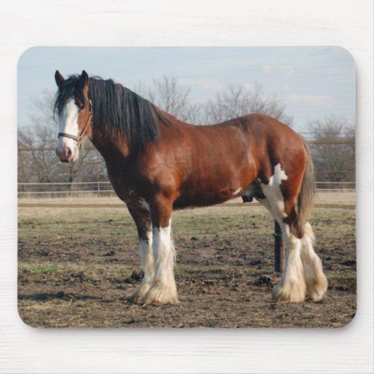 Clydesdaleのmousepad マウスパッド (正面)