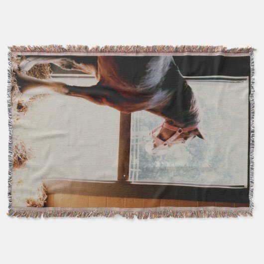 Clydesdale スローブランケット (正面)