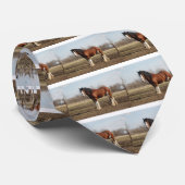 clydesdale ネクタイ (ロール)
