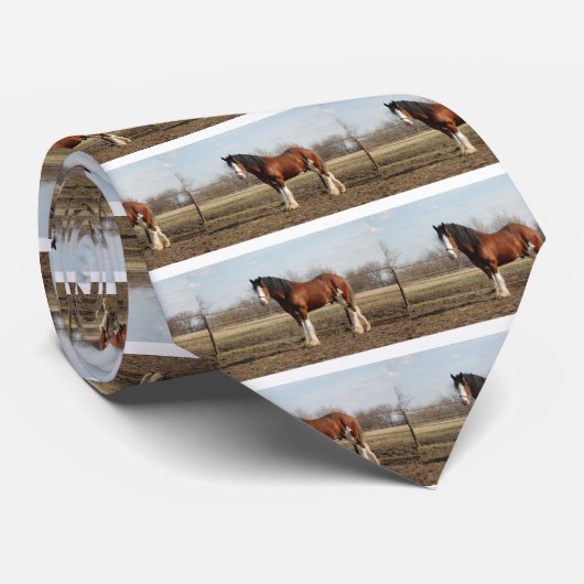 clydesdale ネクタイ (ロール)