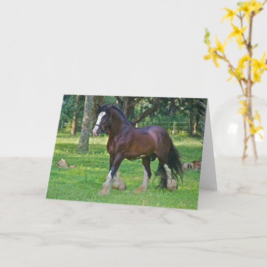 Clydesdale Horse カード (黄色い花)