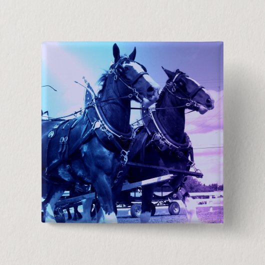 Clydesdale Pin 缶バッジ (正面)