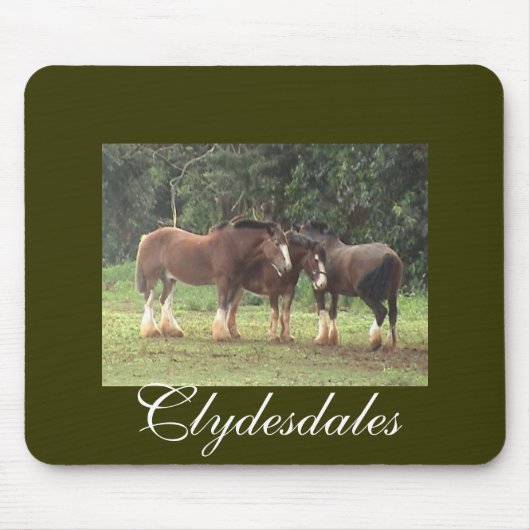 Clydesdalesのマウスパッド マウスパッド (正面)