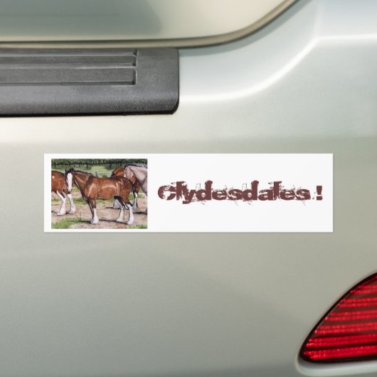 Clydesdalesの規則の馬の芸術 バンパーステッカー (車上)