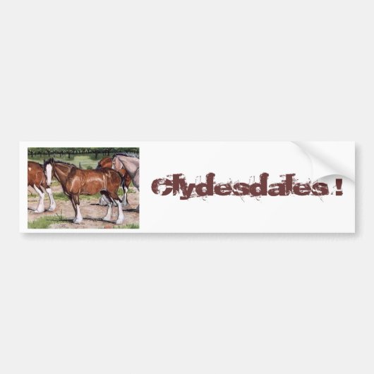Clydesdalesの規則の馬の芸術 バンパーステッカー (正面)