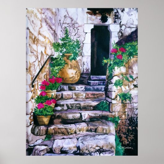 CMCarlson Secret Entrance in Italyポスター ポスター (正面)