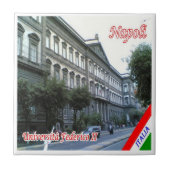 CMP048 NAPLES, Federico II University, タイル (正面)