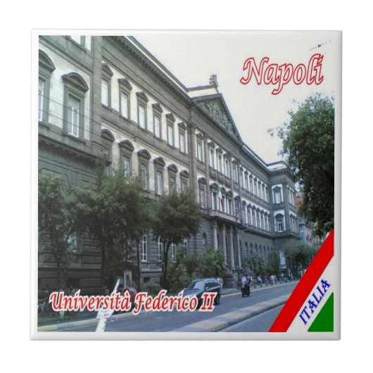 CMP048 NAPLES, Federico II University, タイル (正面)