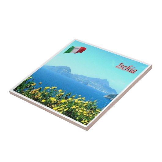 CMP064 ISCHIA,カンパニア,イタリア, タイル (側面)