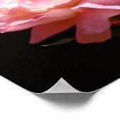 CNAs posters Certified Nursing Assistants Angels ポスター (角)