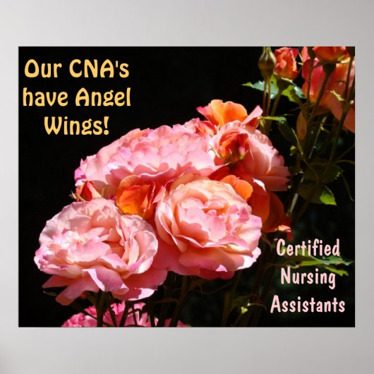 CNAs posters Certified Nursing Assistants Angels ポスター (正面)