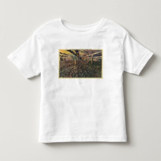 Coの水分を取り除くジュニアSimplotの内部の眺め トドラーTシャツ (正面)