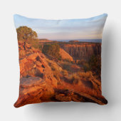 COモニュメントのグランドビュートレイルでのサンライズ クッション (裏面)