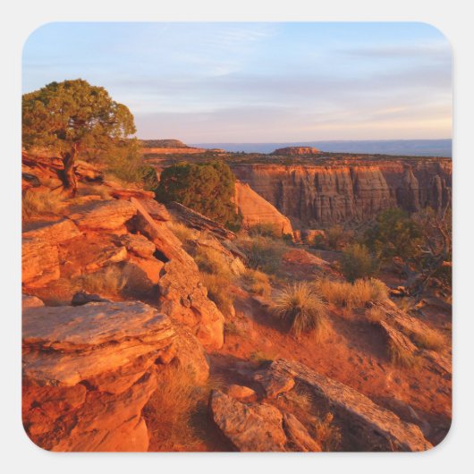 COモニュメントのグランドビュートレイルでのサンライズ スクエアシール (正面)