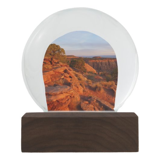 COモニュメントのグランドビュートレイルでのサンライズ スノーグローブ (正面)