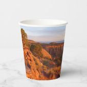 COモニュメントのグランドビュートレイルでのサンライズ 紙コップ (正面)