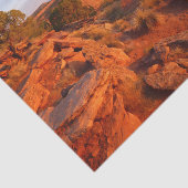 COモニュメントのグランドビュートレイルでのサンライズ 薄葉紙 (詳細)