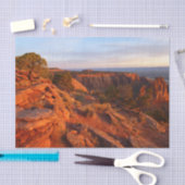 COモニュメントのグランドビュートレイルでのサンライズ 薄葉紙 (クラフト)