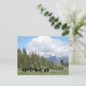 CO（キーストーン） ポストカード (スタンド正面)