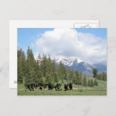 CO（キーストーン） ポストカード (正面/裏面)