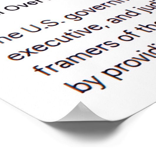 Co-Equal Branches of Government Poster ポスター (角)