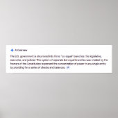 Co-Equal Branches of Government Poster ポスター (正面)