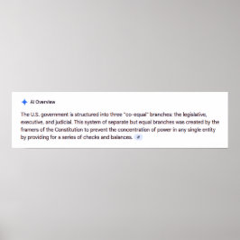 Co-Equal Branches of Government Poster ポスター