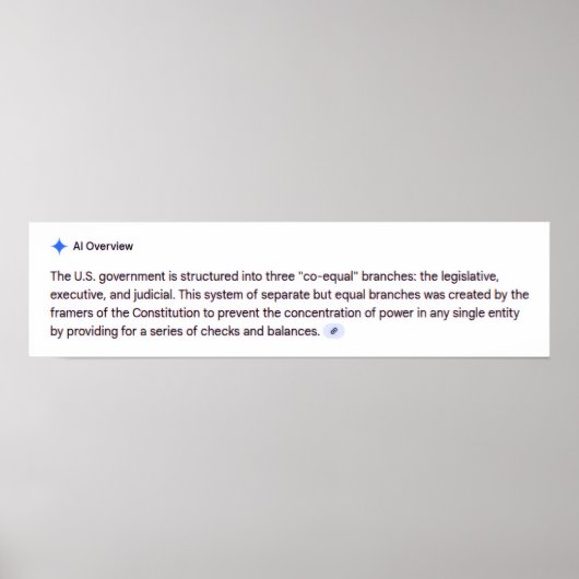 Co-Equal Branches of Government Poster ポスター (正面)