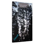 CO Mountainsクリップボード内の高い木 クリップボード (右)