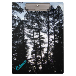 CO Mountainsクリップボード内の高い木 クリップボード