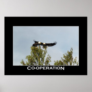 CO-OPERATION Bald Eaglesフォトポスター ポスター