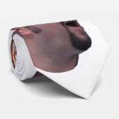 coaltserのタイ ネクタイ (ロール)