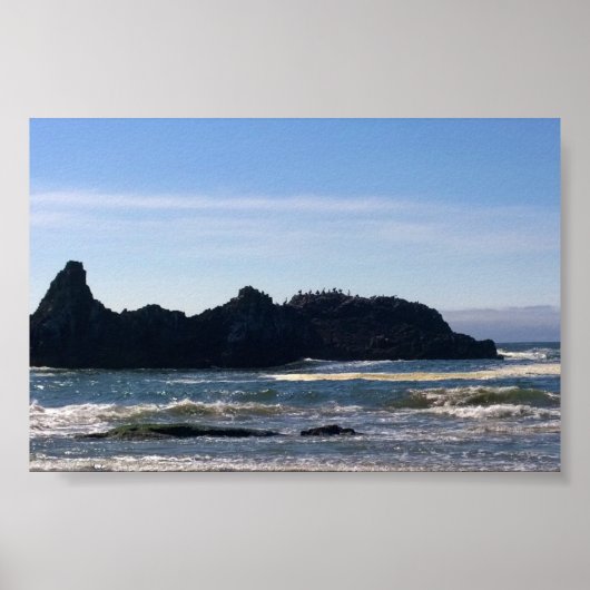Coast at Seal Rock OR ポスター (正面)
