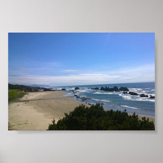 Coast at Seal Rock OR ポスター (正面)