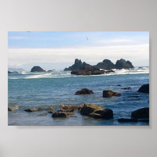 Coast at Seal Rock OR ポスター (正面)