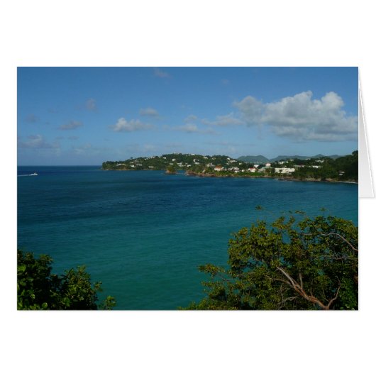 Coast of St. Lucia カリブの Vacation Photo (正面横)