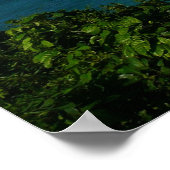 Coast of St. Lucia カリブの Vacation Photo ポスター (角)