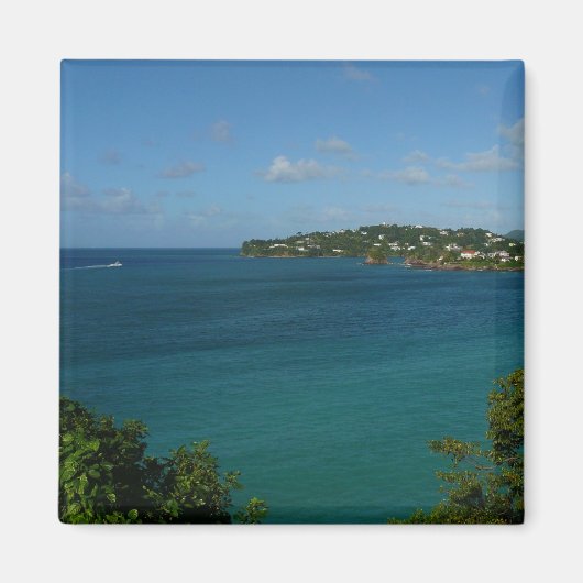 Coast of St. Lucia カリブの Vacation Photo マグネット (正面)