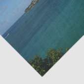 Coast of St. Lucia カリブの Vacation Photo 薄葉紙 (詳細)