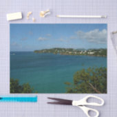 Coast of St. Lucia カリブの Vacation Photo 薄葉紙 (クラフト)