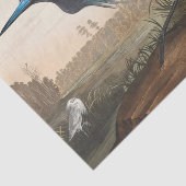 coastal Audobon blue heron Tissue Paper 薄葉紙 (詳細)