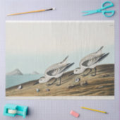 coastal audobon sanderling gulls tissue paper 薄葉紙 (クラフト)