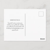 Coastal Beach Seashells Starfish Watercolor Art ポストカード (裏面)