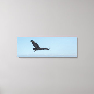 Coastal Black Vulture in Flight Over Ocean Rocks キャンバスプリント