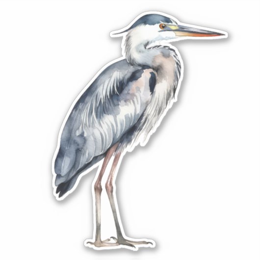 Coastal Blue Heron Bird シール (正面)