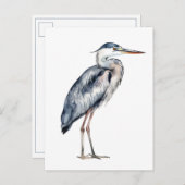 Coastal Blue Heron Bird ポストカード (正面/裏面)